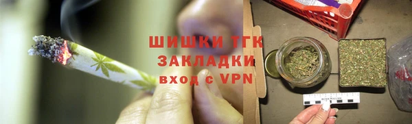 крисы Верхний Тагил