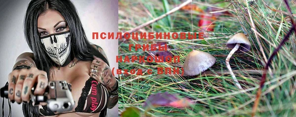 крисы Верхний Тагил