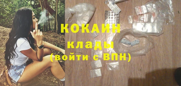 крисы Верхний Тагил