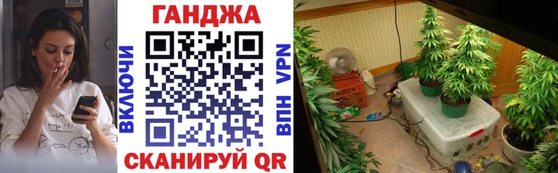 Купить где  Среднеуральск  Бошки марихуана MAZAR 